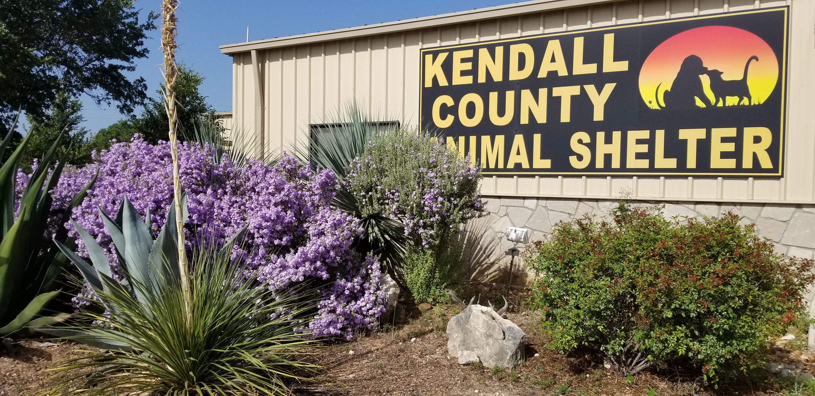 front of shelter flowers 1